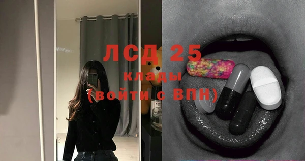 ПСИЛОЦИБИНОВЫЕ ГРИБЫ Алексин