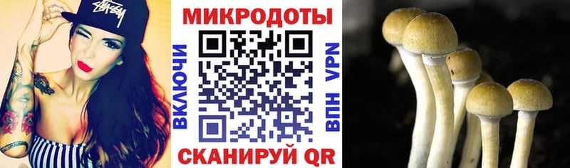 купить   Комсомольск  Галлюциногенные грибы ЛСД 